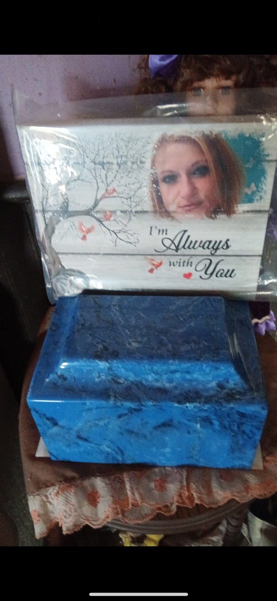 zack is back tweet media