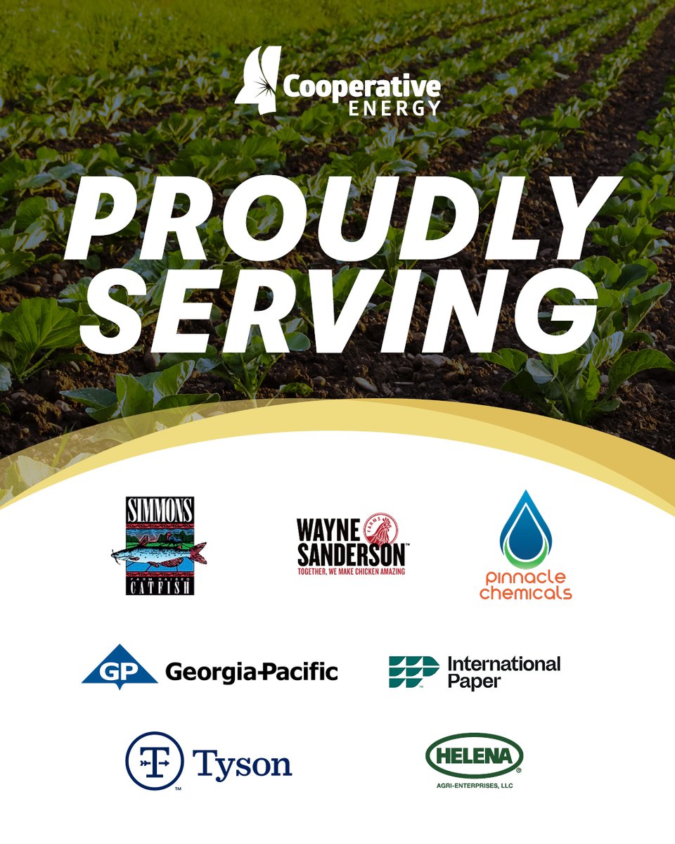 Agriculture is Mississippi’s largest industry, employing nearly 1 in 5 workers and generating $6.22 billion annually. With vast forest resources, cutting-edge R&amp;D institutions, and competitive incentives, our state is positioned to lead in agribusiness innovation and production.