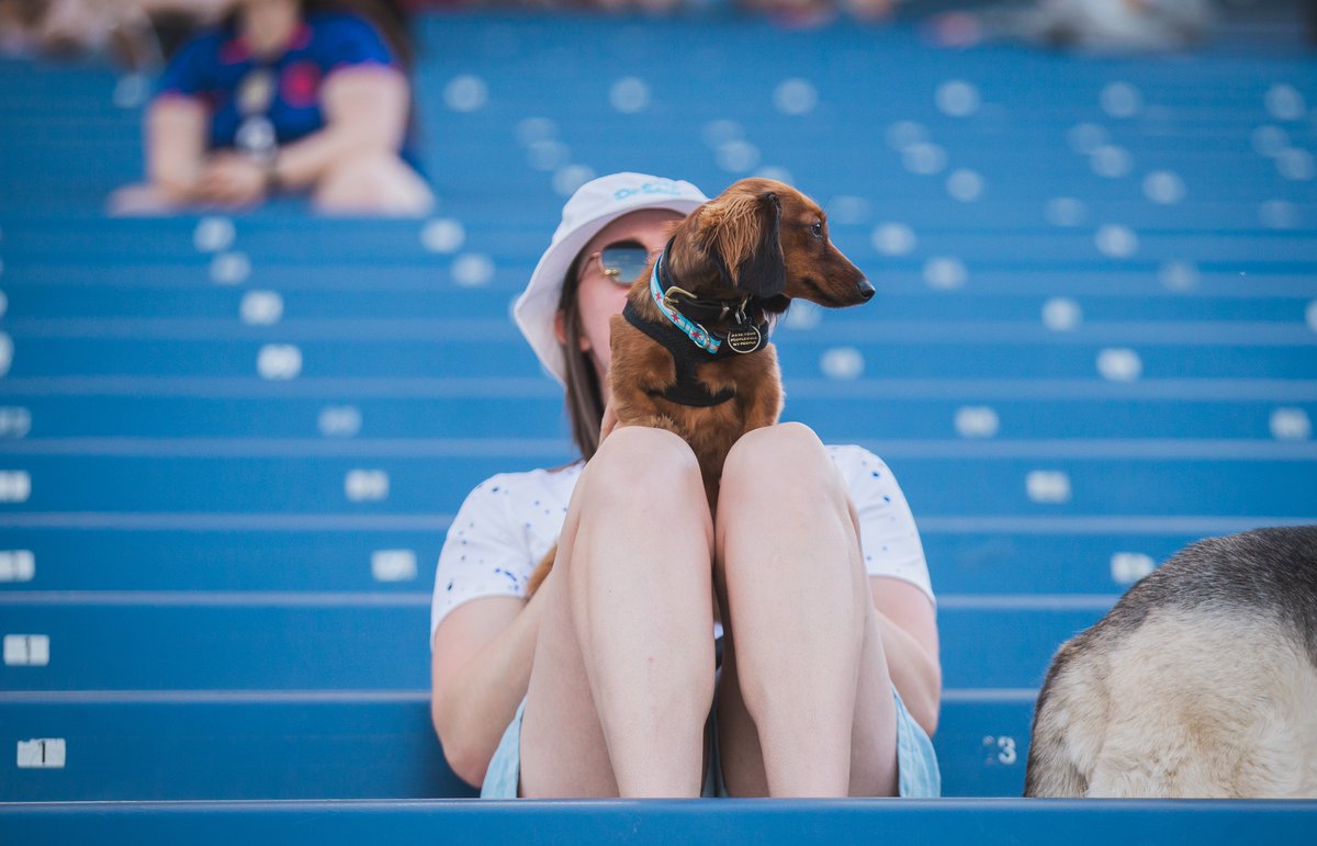 theChicagoStars's tweet image. Last year’s Bark in the Park was pawsitively iconic. Let’s do it again August 1 😉🐾
🐶: mpv.tickets.com/schedule/?agen…