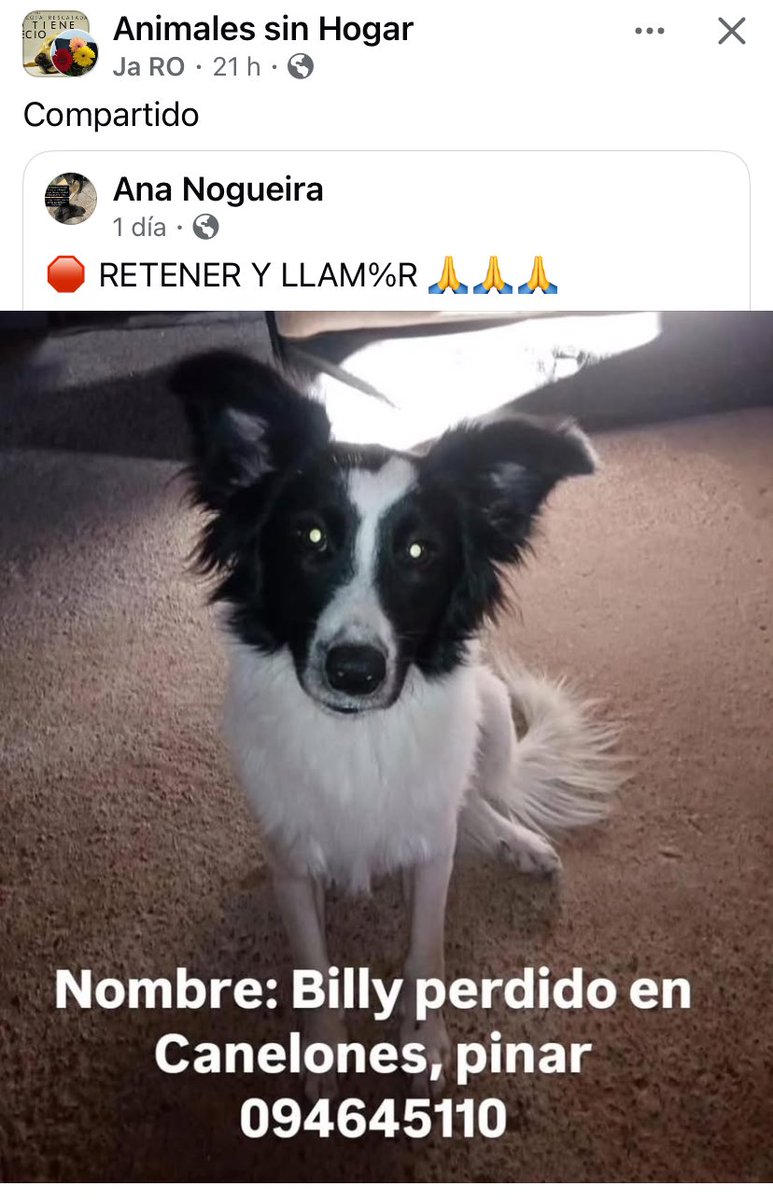 Adriana (@adriana43587622) on Twitter photo 