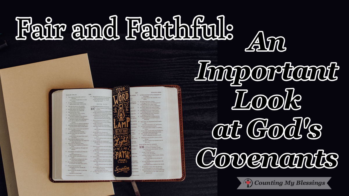 BlessingCounter's tweet image. Since the first temptation, people have asked if God is fair and faithful. We can examine God's Covenants and know that He is not only faithful, but also gracious, merciful, and loving.
countingmyblessings.com/fair-and-faith…