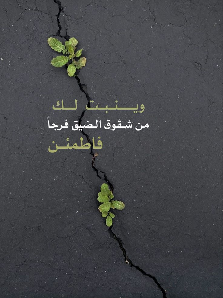 هُدُوء | سُكُون (@wn194) on Twitter photo 