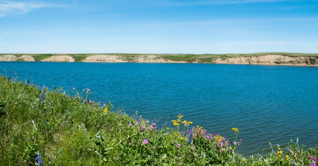 Alberta Conservation (@conservealberta) on Twitter photo 67% of drownings happen in natural waters. Whether you're fishing, paddling, or swimming, open water adventures are safer with friends.
Make safety a shared priority this summer.
🛟 Tips from <a href="/lifesavingabnwt/">Lifesaving Society</a>: lifesaving.org/public-educati…
#NDPW2025 #Safety 67% of drownings happen in natural waters. Whether you're fishing, paddling, or swimming, open water adventures are safer with friends.
Make safety a shared priority this summer.
🛟 Tips from <a href="/lifesavingabnwt/">Lifesaving Society</a>: lifesaving.org/public-educati…
#NDPW2025 #Safety