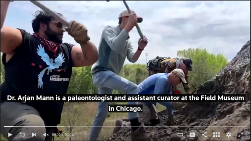 ESCONI's tweet image. Mazon Monday #279: Prehistoric paradise hiding just outside Chicago #fossils #paleontology #MazonMonday #MazonCreek @FieldMuseum #braceville
esconi.org/esconi_earth_s…