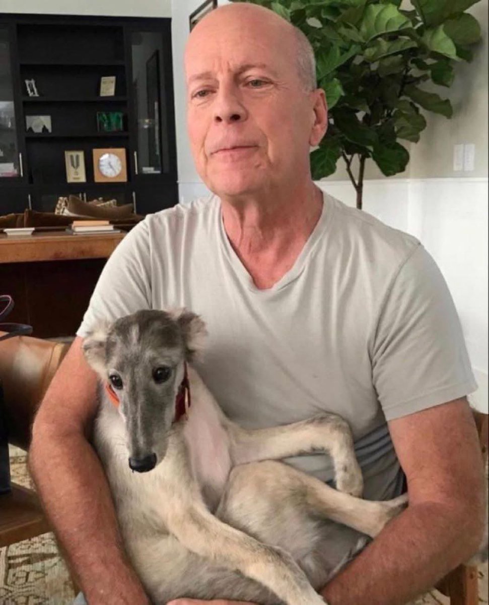 Bruce Willis  ya no puede hablar, ni leer, y le cuesta caminar 

Cuesta creer que Bruce Willis ya no pueda hablar ni leer. La demencia le ha ido quitando poco a poco esa chispa.

Para quienes crecimos viéndolo, duele. Fue parte de nuestra vida, de tantas noches de cine, de frases