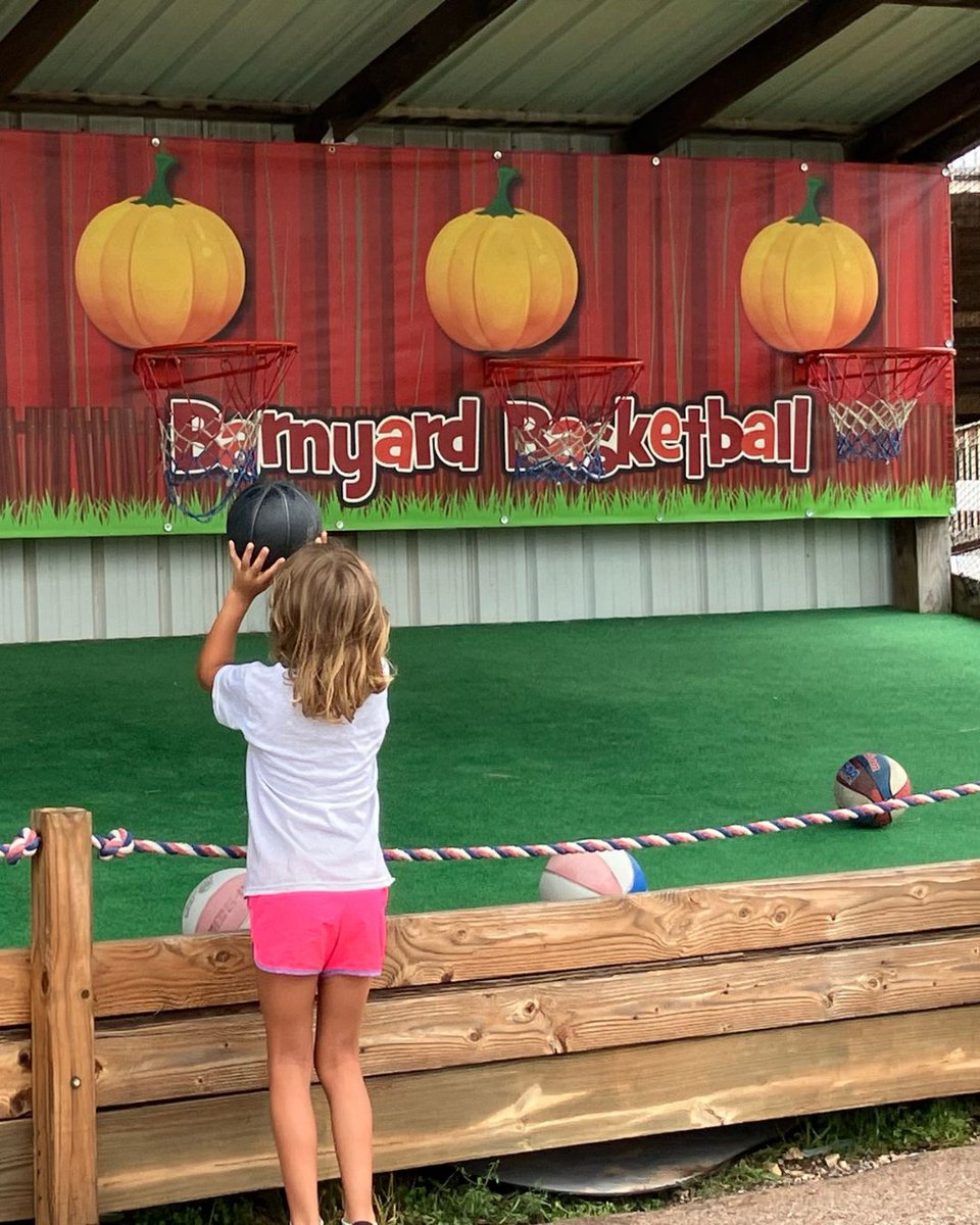 AlphaBEST Education tweet media