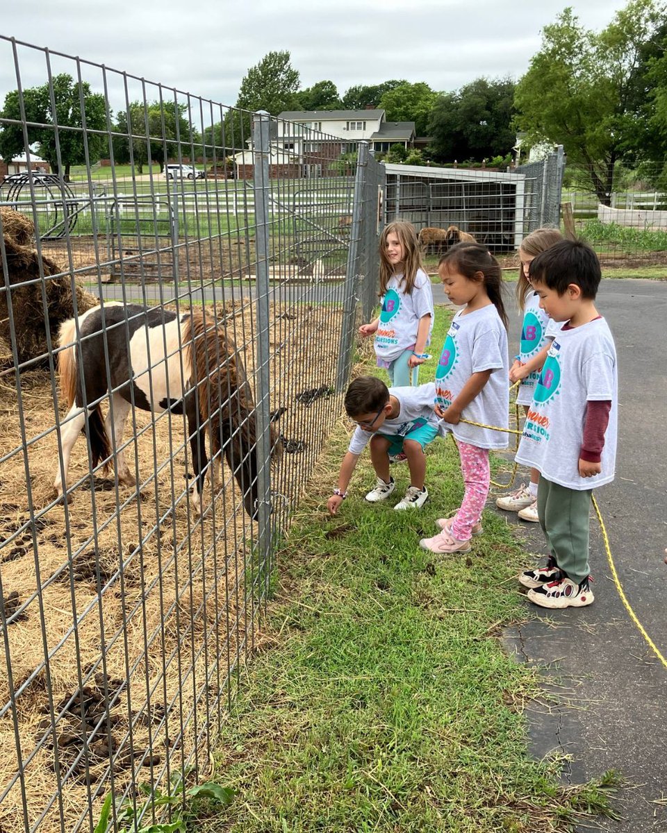 AlphaBEST Education tweet media