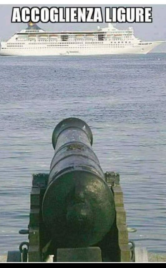 foresta233's tweet image. 