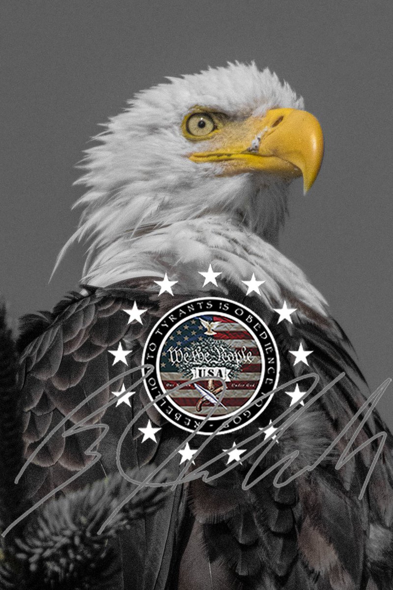BlehmLawAZ's tweet image. Join us live here or @WethePeopleAZA1 tonight at 7:00 pm with special guest @Rach_IC. Learn everyone's pick for Trump appointee MVP and about election machine hacking and police corruption.