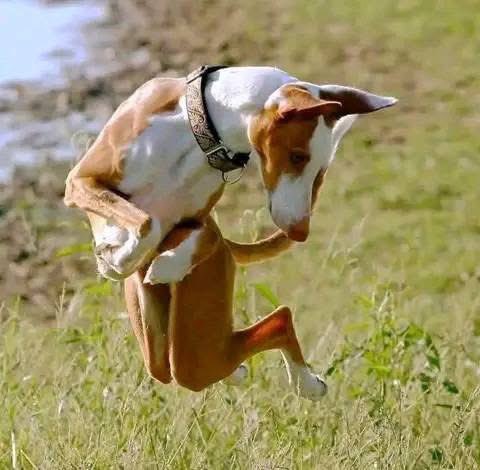 Maletsapa1's tweet image. Ladies when they see cockroach ! 😂😂😂