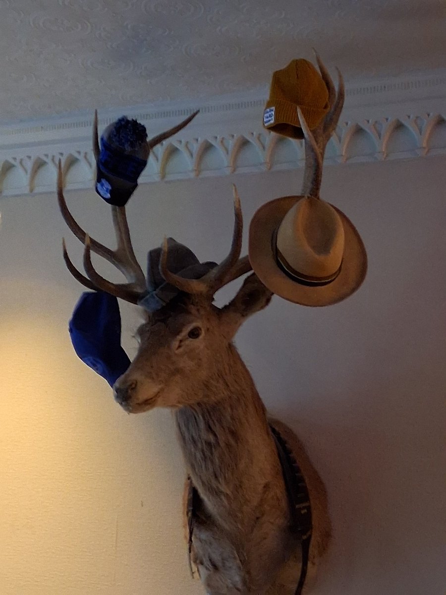 APATBillShep's tweet image. Where am I...? Easy one this