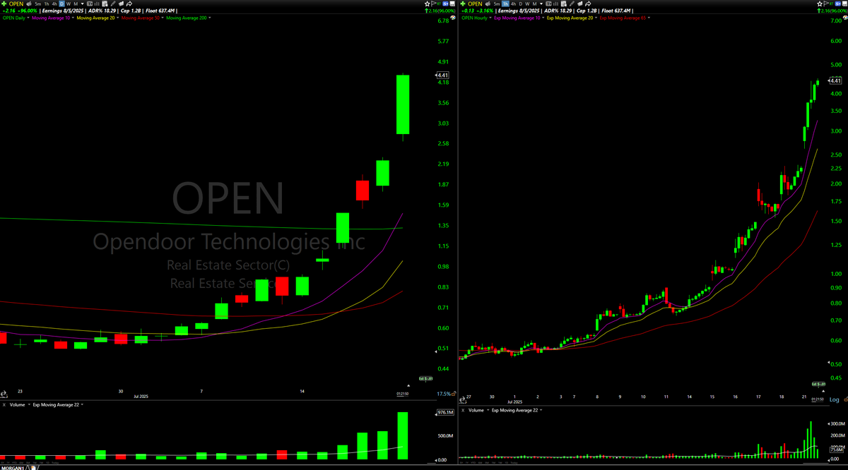 Morgan Trades tweet media