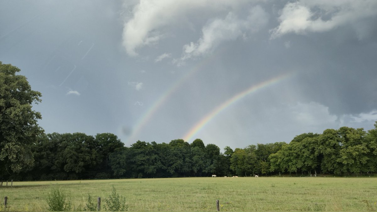 Omw to get a double pot of gold