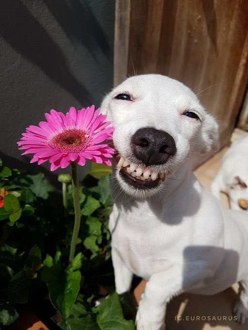 오늘 왜이렇게 재롱떨지   행복하다