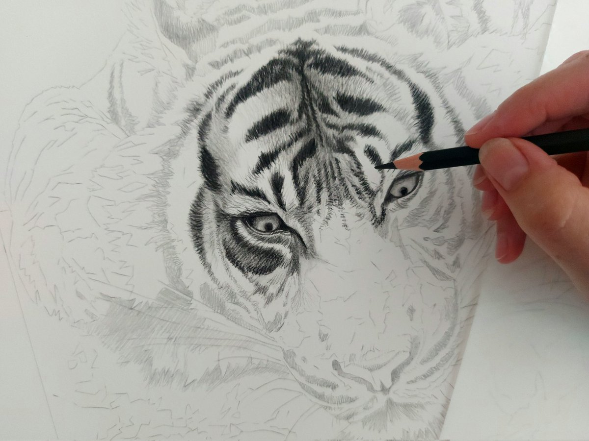 srh_sue's tweet image. A little glimpse of my new drawing. No more updates on this one until it's completed. 馃挍
#drawing #art