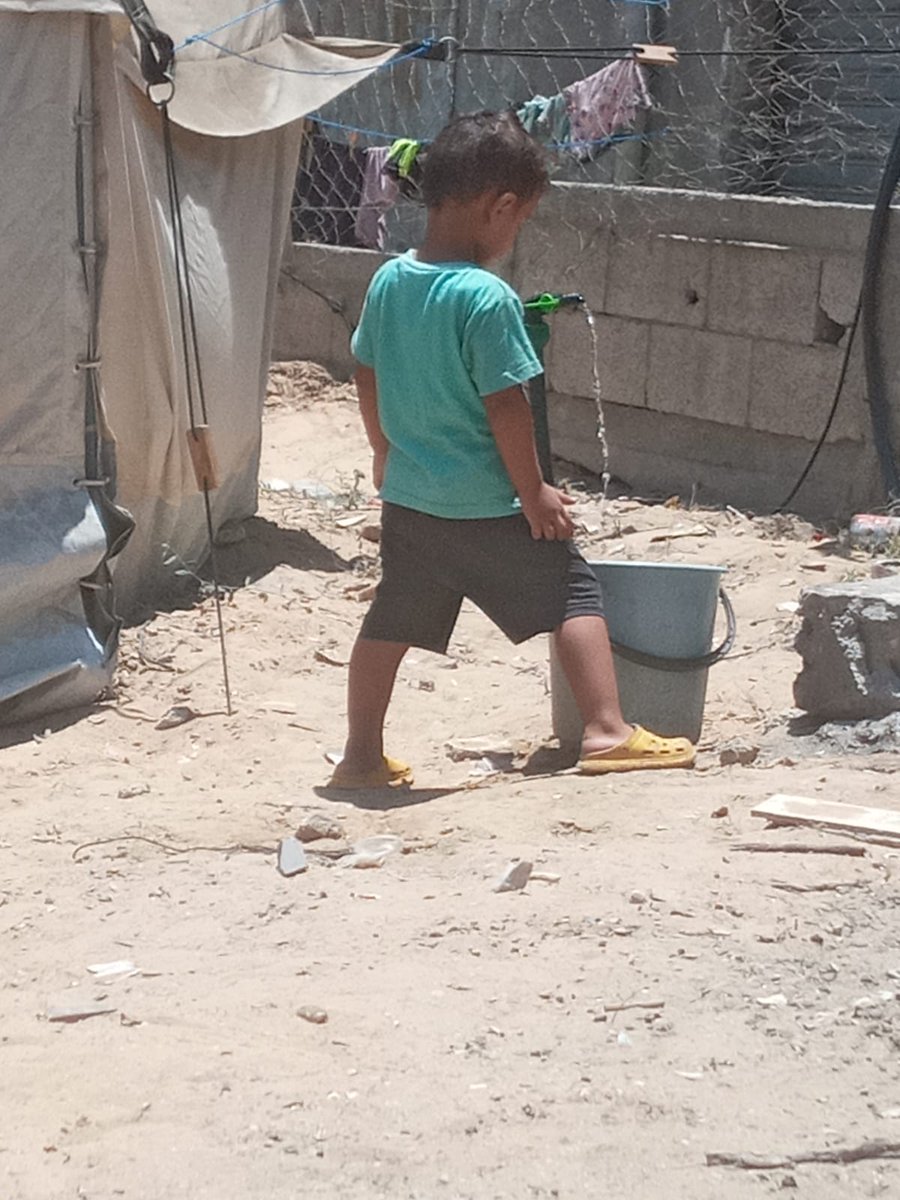 Fadi_hamad966's tweet image. My son Ashraf wakes up early every day to search with me for water and food.
He lives the life of a 40-year-old man with a family and tries to provide for them.
My son Ashraf asks for your help and support during this severe famine.
chuffed.org/project/help-f…