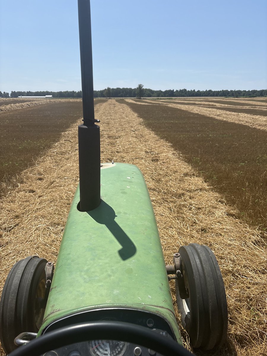 Green straw, weeds or rain in forecast? Set combine chopper on slow speed and spread straw so it will dry