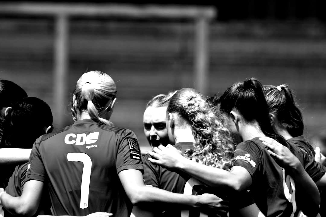 Ray Chaplin tweet media