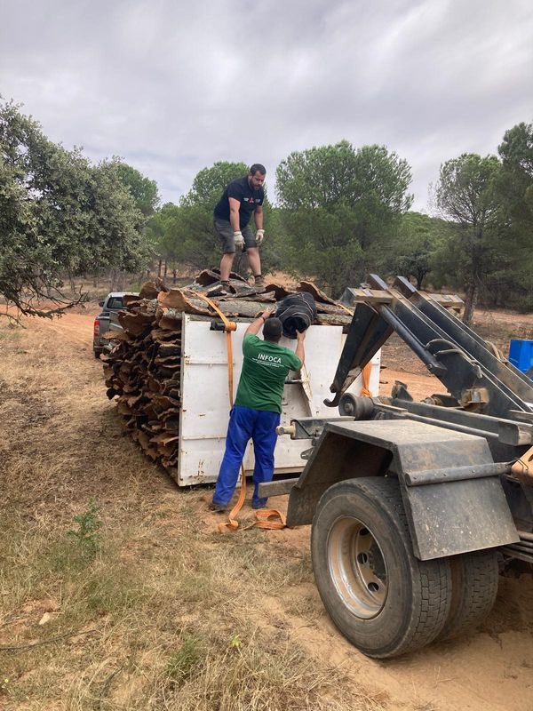 Junta Sevilla (@juntasevilla) on Twitter photo Andalucía extraerá este año más de un millón de kilos de corcho de los montes públicos de la <a href="/AndaluciaJunta/">Junta de Andalucía</a>
juntadeandalucia.es/medioambiente/… Andalucía extraerá este año más de un millón de kilos de corcho de los montes públicos de la <a href="/AndaluciaJunta/">Junta de Andalucía</a>
juntadeandalucia.es/medioambiente/…