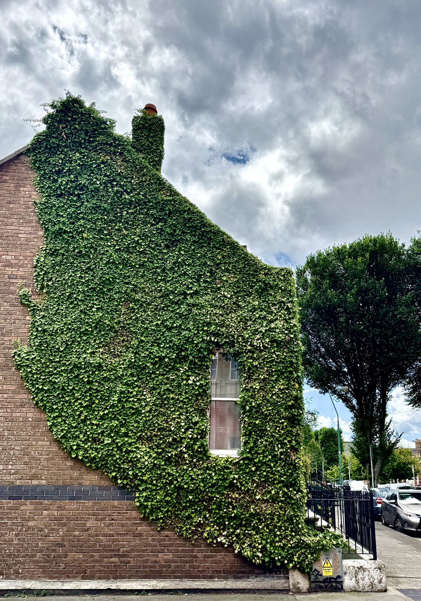 Street shapes, Pleasants St, #Dublin