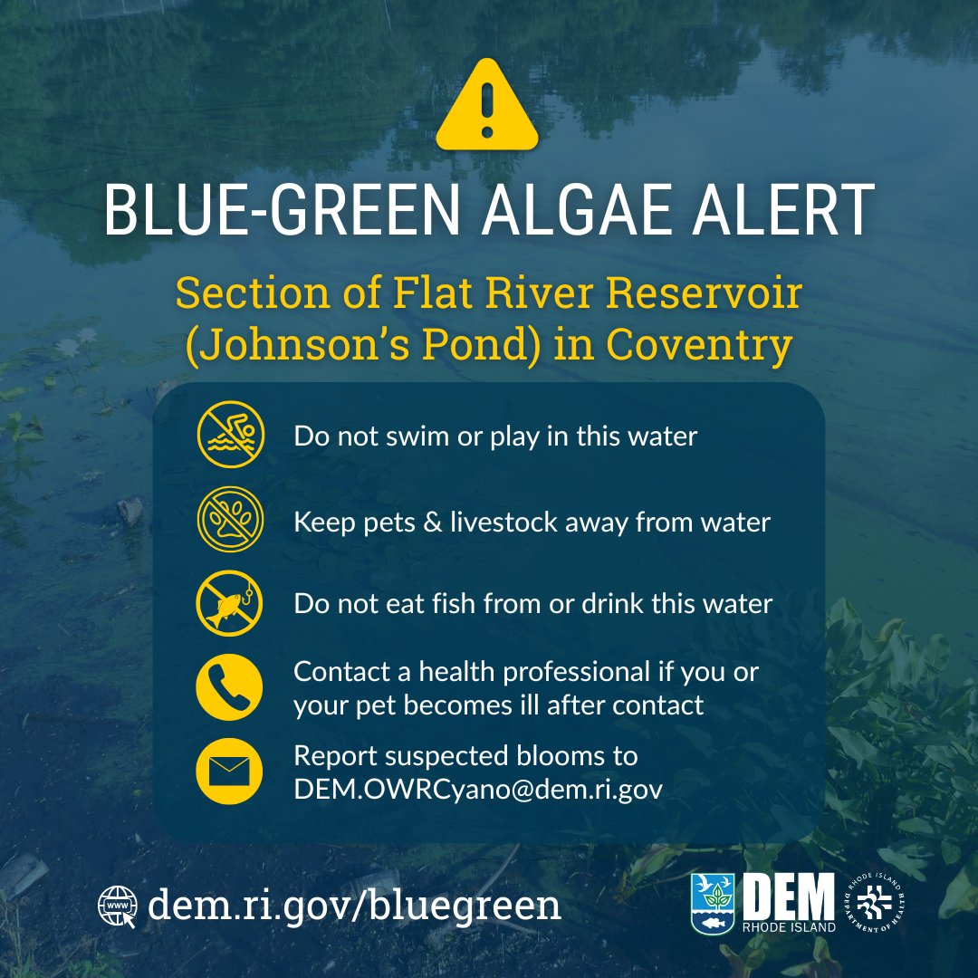 Rhode Island Dept of Environmental Management (@rhodeislanddem) on Twitter photo <a href="/RIHEALTH/">Rhode Island Department of Health</a> and DEM Recommend Avoiding Contact with a Section of Flat River Reservoir (Johnsonās Pond) due to a cyanobacteria bloom.
š More info: dem.ri.gov/press-releases⦠<a href="/RIHEALTH/">Rhode Island Department of Health</a> and DEM Recommend Avoiding Contact with a Section of Flat River Reservoir (Johnsonās Pond) due to a cyanobacteria bloom.
š More info: dem.ri.gov/press-releasesā¦