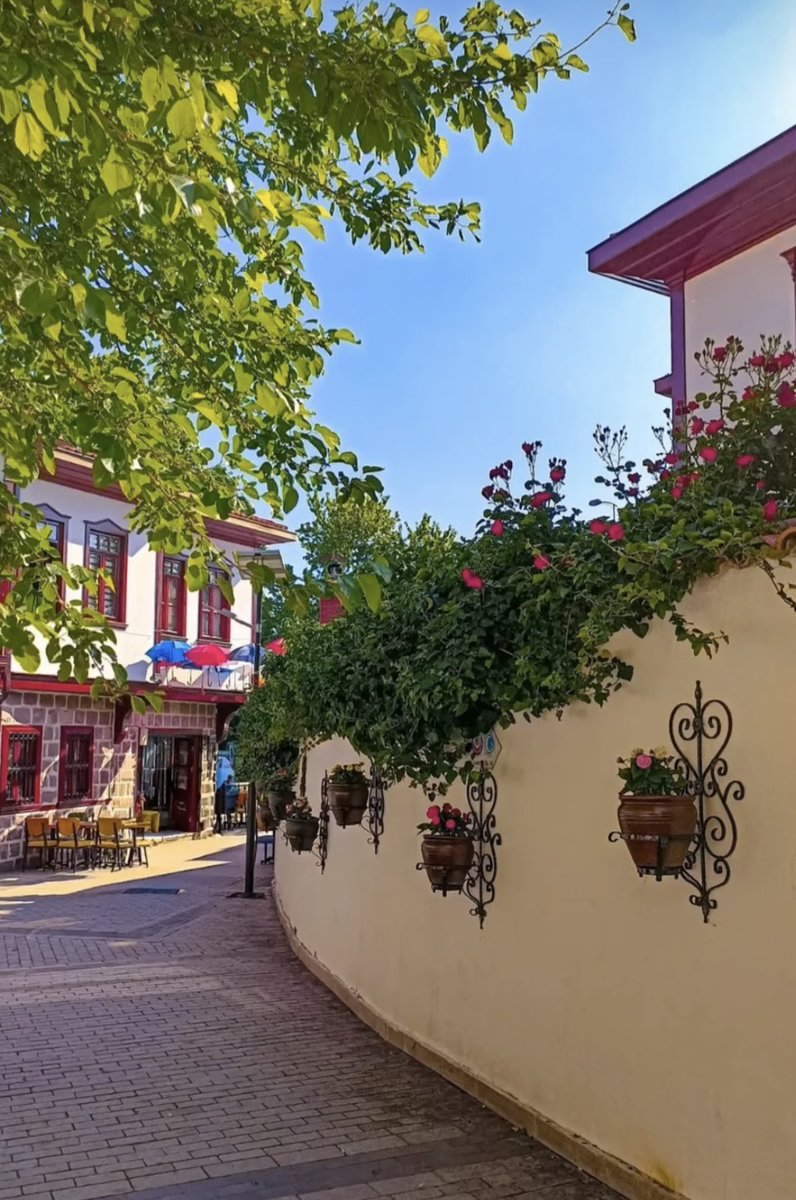 Oysa insan, hissedebildiği sürece tamdır…

#akşama