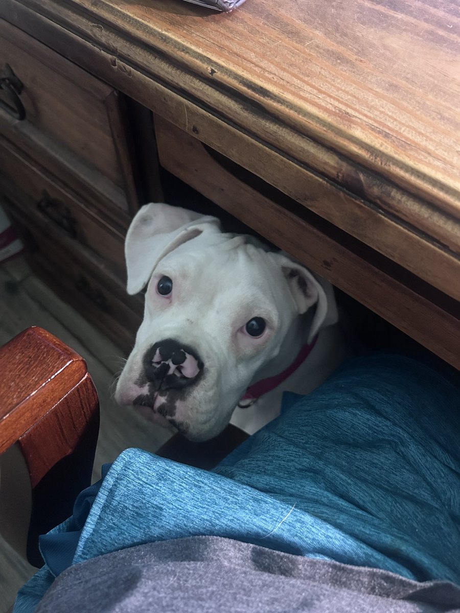TXzachTX's tweet image. Have a friend helping me work today