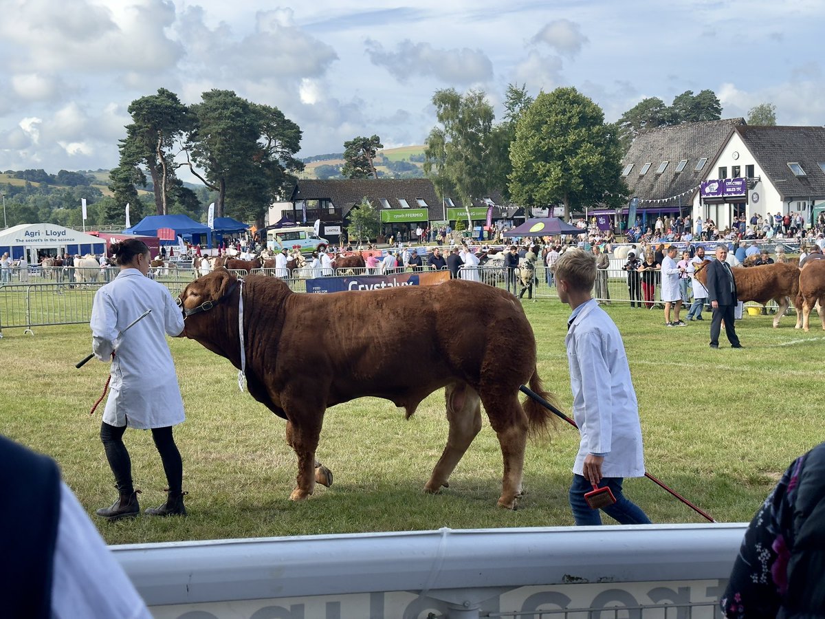 🌾Dechrau gwych i’r Sioe Fawr!✅

Bydd llywodraeth Plaid Cymru yn gefn i’r sector amaethyddol a chefn gwlad Cymru. Gwych trafod ein gweledigaeth gyda ffermwyr a rhanddeiliaid heddiw 🏴󠁧󠁢󠁷󠁬󠁳󠁿