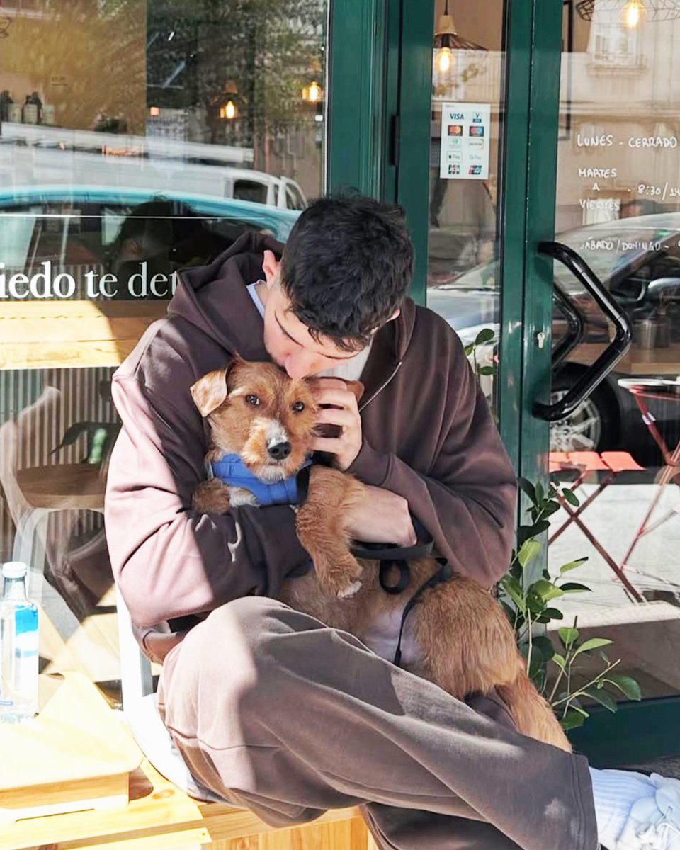 Sempre leais, sempre ao noso carón. Feliz Día do Can a quen fai máis bonito o camiño! 🐶

#CamiñaConNós