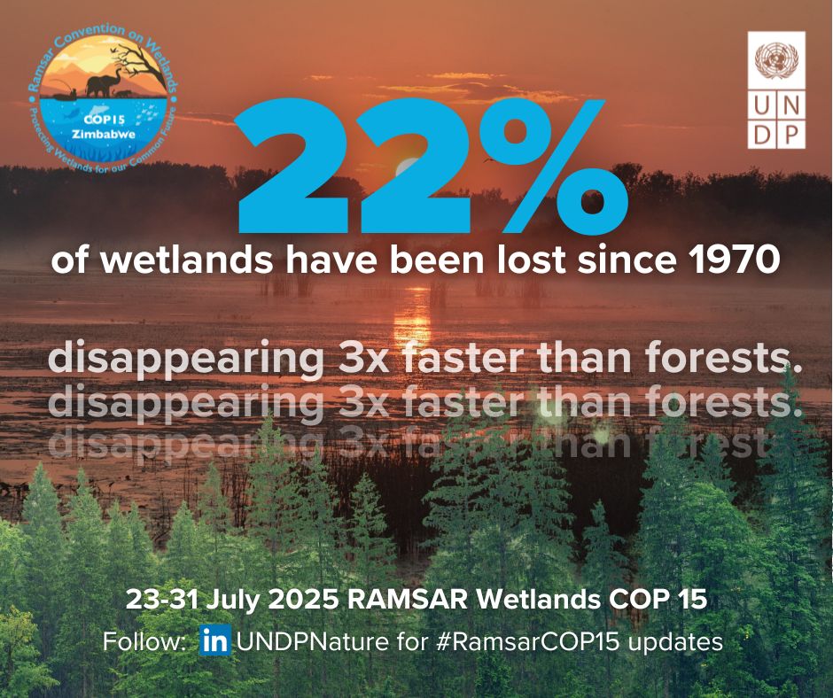 UNDPClimate's tweet image. 🌍 22% of wetlands lost since 1970—disappearing 3x faster than forests.
Wetlands are vanishing, putting ecosystems and economies at risk. It’s time to #RestoreWetlands.
Follow @UNDP and @UNDPZimbabwe at #RamsarCOP15 23-31 July
#WetlandsMatter #ForPeopleForPlanet