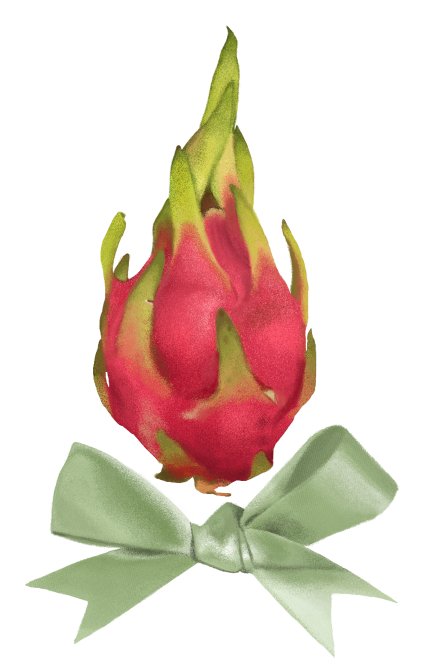 Puddingmanjaro's tweet image. uwu dragon fruit