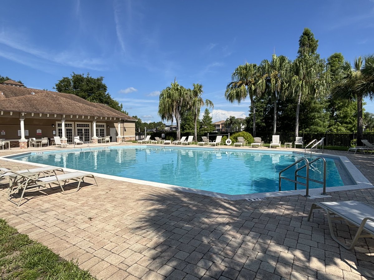 The perfect pool morning.  😑