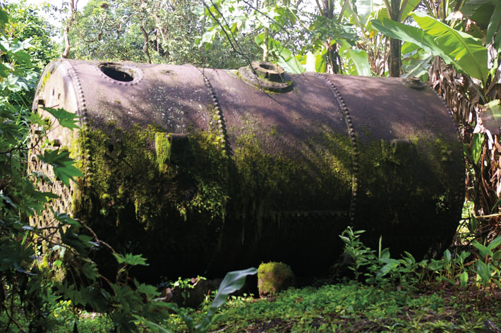 archaeologymag's tweet image. #OTD in 1924, high school teacher John T. Scopes was convicted for teaching Charles Darwin's theory of evolution. Read about the archaeology of the Galapagos, where the theory and subsequent book was inspired by the naturalist's 1835 trip:
archaeology.org/issues/455-220…