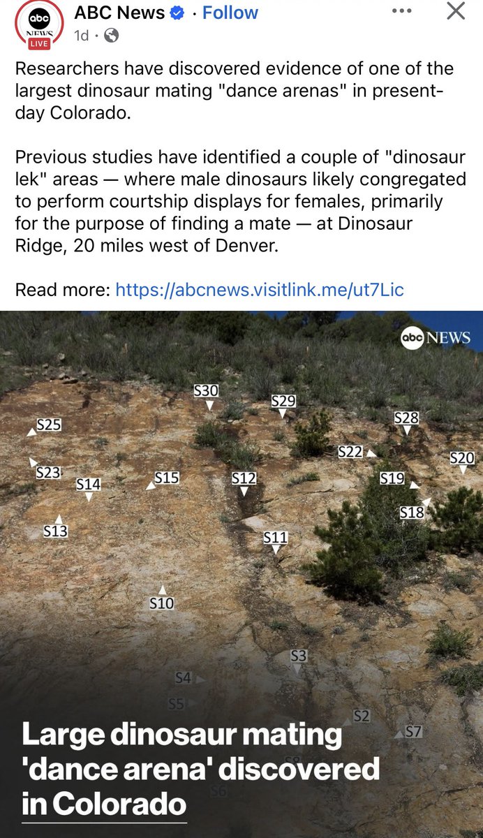 seafoamsafari's tweet image. Breaking Dino Institute discover news… I’m a little skeptical but it’s intriguing! 🦖
abcnews.go.com/US/large-dinos…