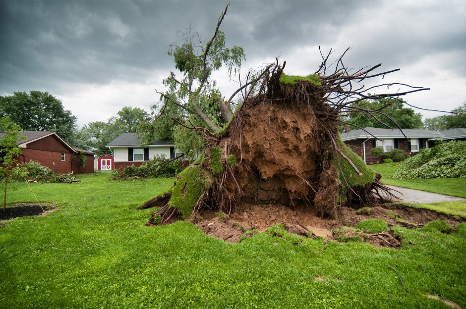 Facing storm damage? We've compiled a list of resources that may help.  
mnhousing.gov/agency-news/ar…