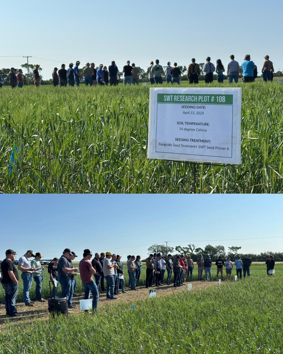 SWT's tweet photo. Our SWT teams had a great day in the field showcasing our research plots across a few different locations. 🌾

It’s always exciting to see how different products and technologies perform side by side. 

#research #trials #saskag #albertaag https://t.co/TwMx3CM0qy