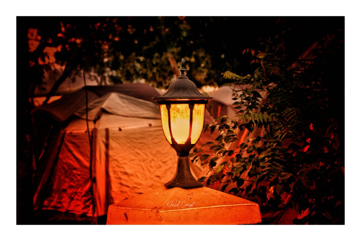 Golden <a href="/arralodges/">Arra Fishing Lodge</a> in 4 slides
.
.📸📸📸