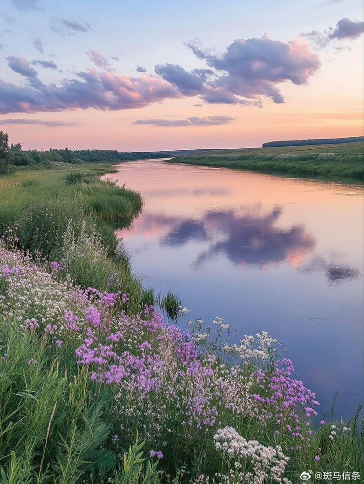 ᅠ ᅠ (@greendreaams) on Twitter photo 