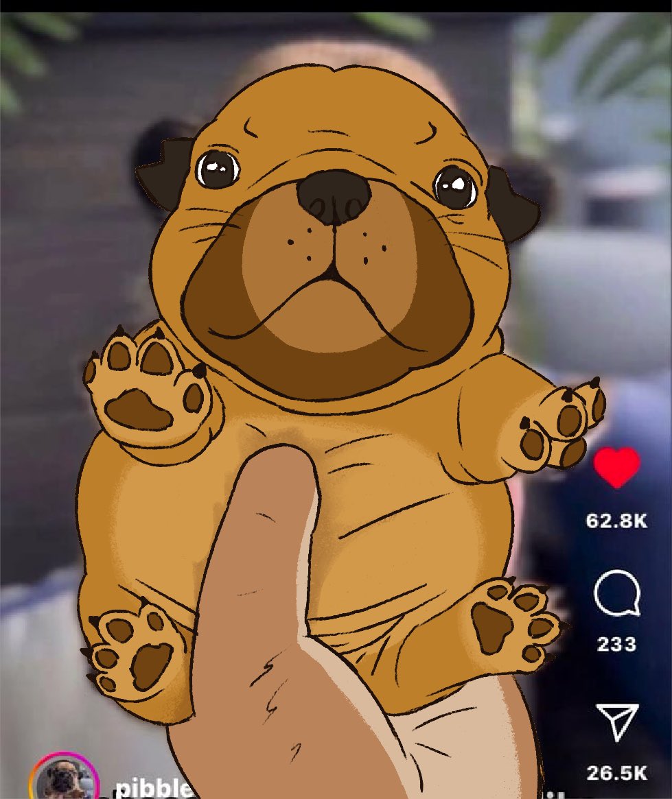 When you turn your Doug into a pibble