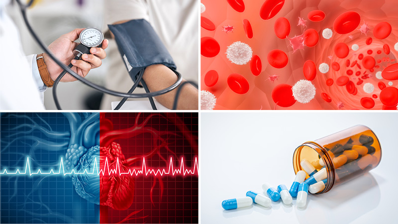 The France Foundation (@francefound) on Twitter photo New CME/CE: BTK inhibitors in #CLL —maximize treatment, minimize CV risk with expert insights on CV safety, BTKi comparisons, and cardio-onc collaboration. 
Start now: rebrand.ly/9457SM
#CardioOncology #BTKis #CME #MedTwitter #HemeOnc #CLLTreatment #CE New CME/CE: BTK inhibitors in #CLL —maximize treatment, minimize CV risk with expert insights on CV safety, BTKi comparisons, and cardio-onc collaboration. 
Start now: rebrand.ly/9457SM
#CardioOncology #BTKis #CME #MedTwitter #HemeOnc #CLLTreatment #CE
