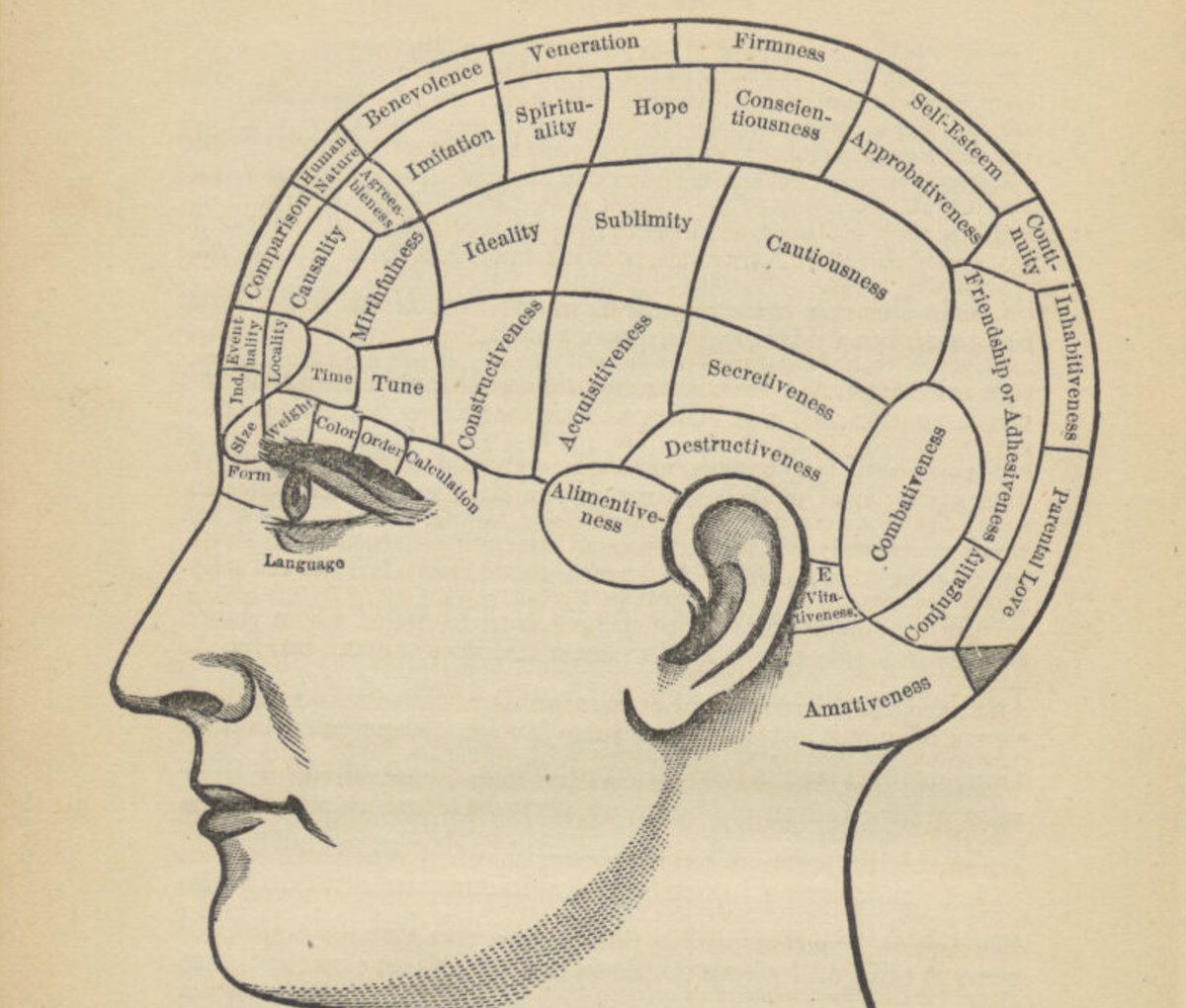 NgoloTesla's tweet image. A few years ago, I ran a poll and my male followers are 2000% more likely to have long hair than the average man
I was not surprised
"Fade" is literally a psyop to reduce your hunger and aggression
Do not trust barbers with your hair
Only family members may cut
It is sacred
