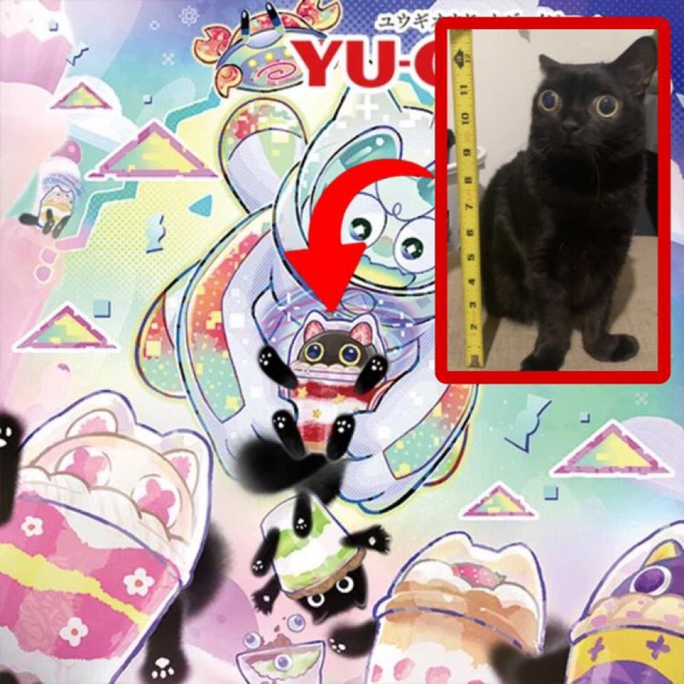 Jesse Anderson (@jesseanders0n) on Twitter photo 