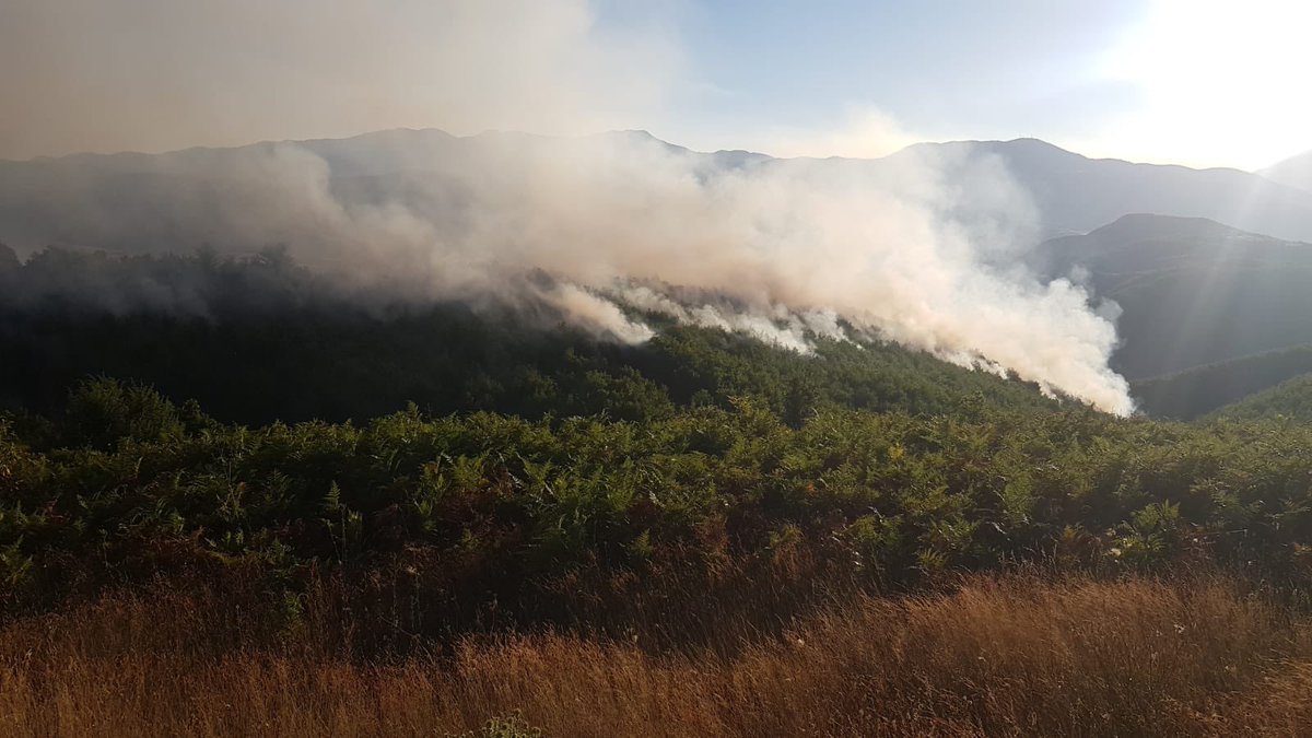 hadjalahbib's tweet image. Less than 3 hours after #Albania requested assistance to fight wildfires, 2 Canadairs from 🇬🇷 & 1 from 🇮🇹 from the #rescEU fleet were deployed this afternoon.
The canadairs are offering support to local teams battling the fires in Vlora & Dibër counties.
#EUsolidarity