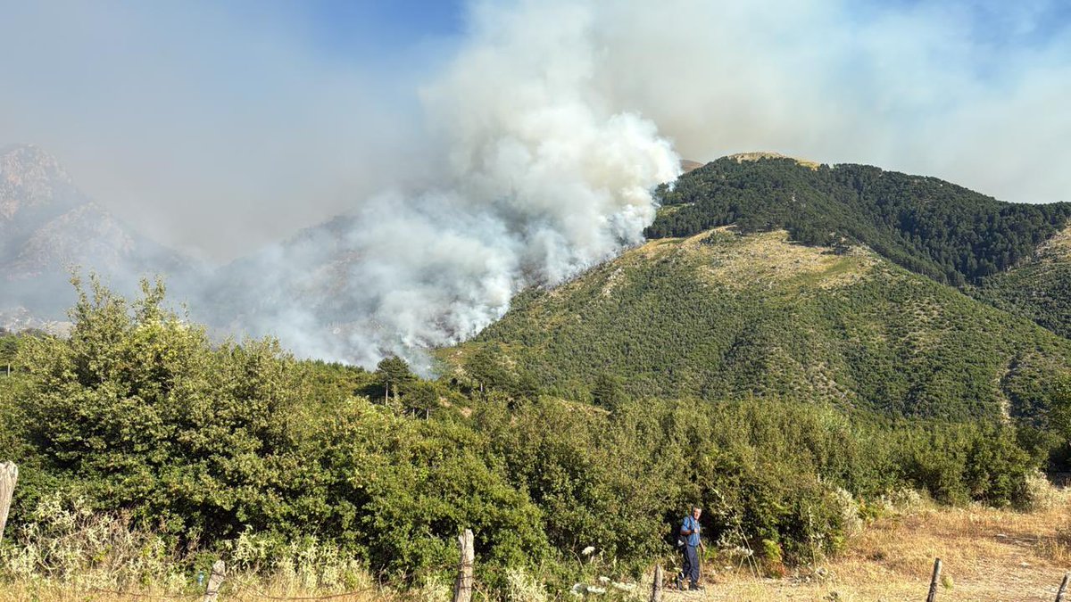 hadjalahbib's tweet image. Less than 3 hours after #Albania requested assistance to fight wildfires, 2 Canadairs from 🇬🇷 & 1 from 🇮🇹 from the #rescEU fleet were deployed this afternoon.
The canadairs are offering support to local teams battling the fires in Vlora & Dibër counties.
#EUsolidarity