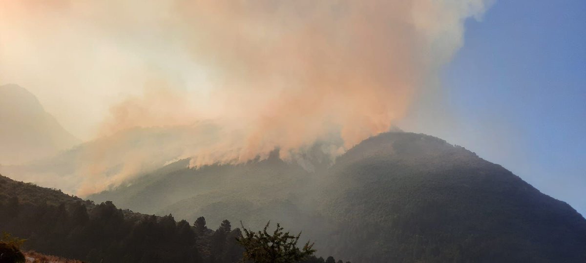 hadjalahbib's tweet image. Less than 3 hours after #Albania requested assistance to fight wildfires, 2 Canadairs from 🇬🇷 & 1 from 🇮🇹 from the #rescEU fleet were deployed this afternoon.
The canadairs are offering support to local teams battling the fires in Vlora & Dibër counties.
#EUsolidarity
