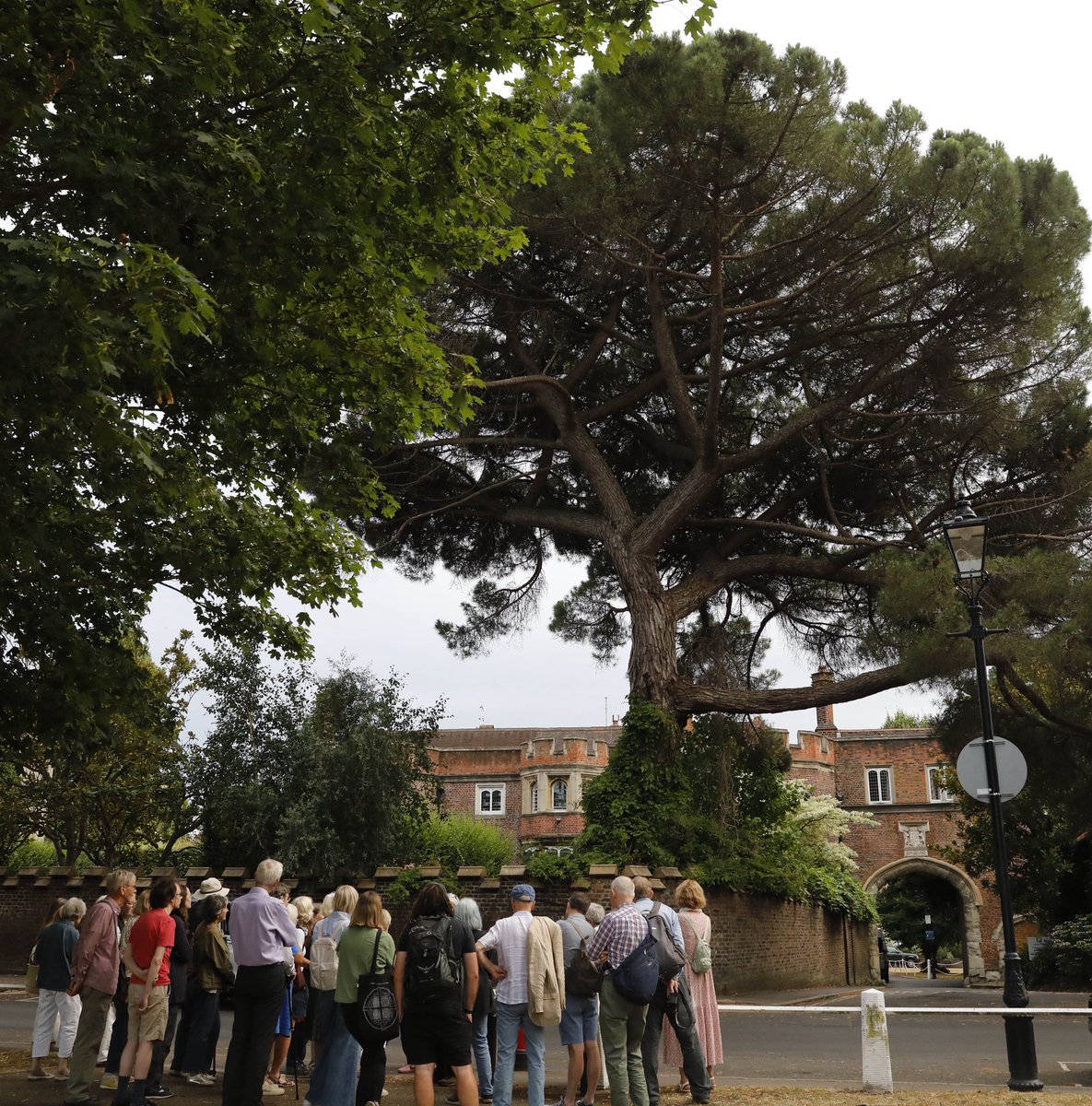 richmondsociety's tweet image. Our latest heritage walk featured the trees of Richmond with expert guides.
If you’d like to be part of future events like this, click here for information about membership: richmondsociety.org.uk/join/
Photos by Ian McKenzie.