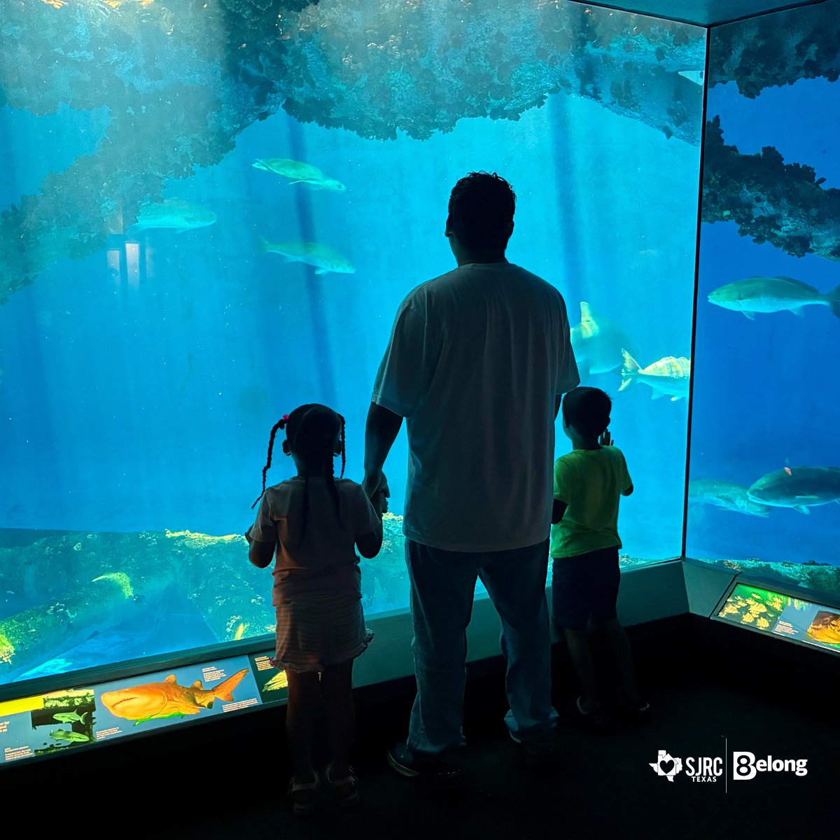 A Huge Thank You to the <a href="/TXStateAquarium/">Texas State Aquarium</a>!🐠🌊

We are so grateful for their donation of tickets for a father and his kids to enjoy a fun, educational day together.🪸🐬 Thanks to them, this family experienced the wonder of marine life while making memories to last a lifetime.💫