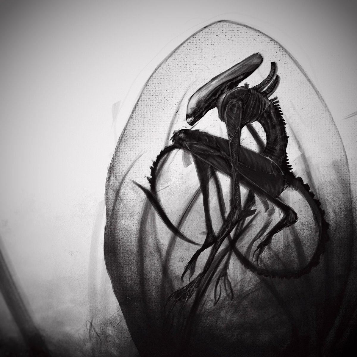 cmslr3's tweet image. 