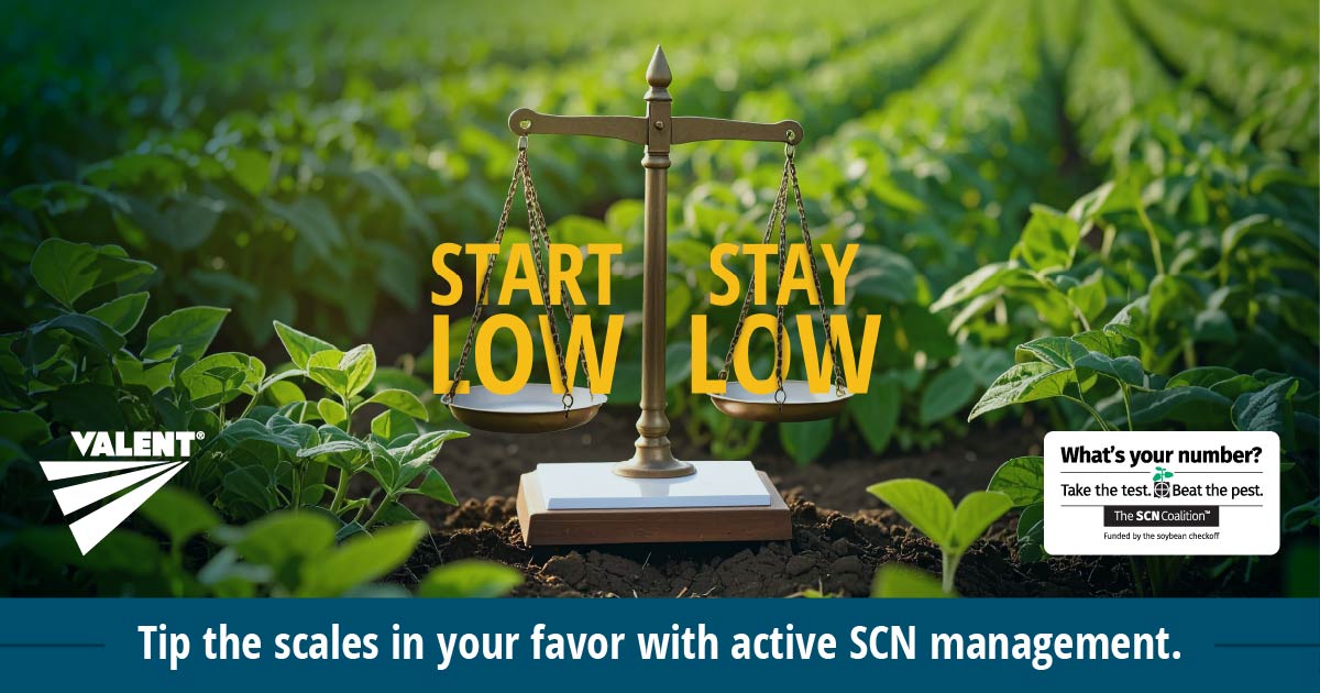 TheSCNCoalition's tweet image. The sad truth is that once you have SCN you always have SCN. Good news – the right tools can help you #BeatThePest. bit.ly/3TEwD7F