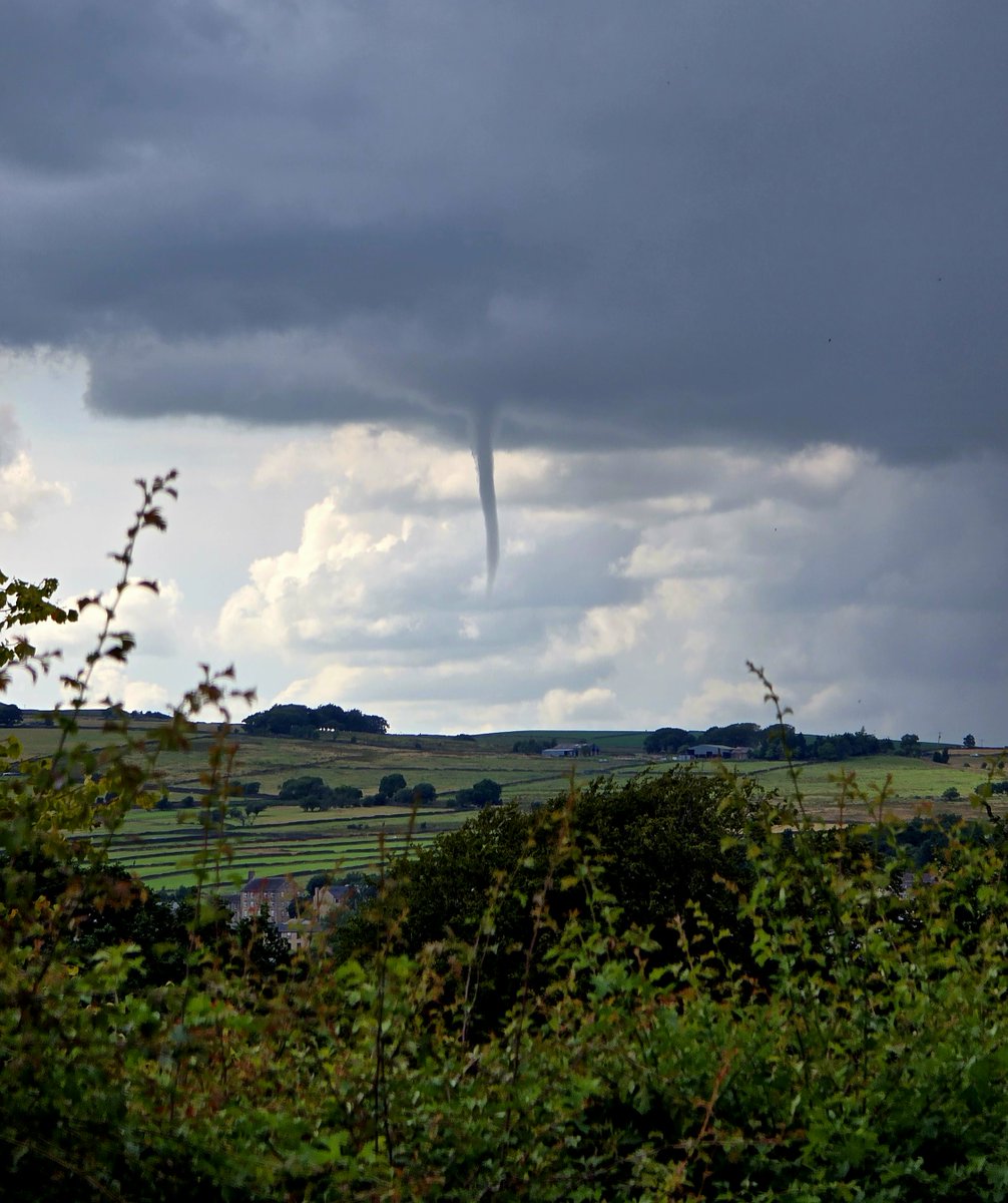 Janet Bebb 💙💛 tweet media